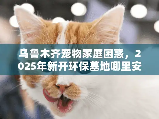 乌鲁木齐宠物家庭困惑，2025年新开环保墓地哪里安放？