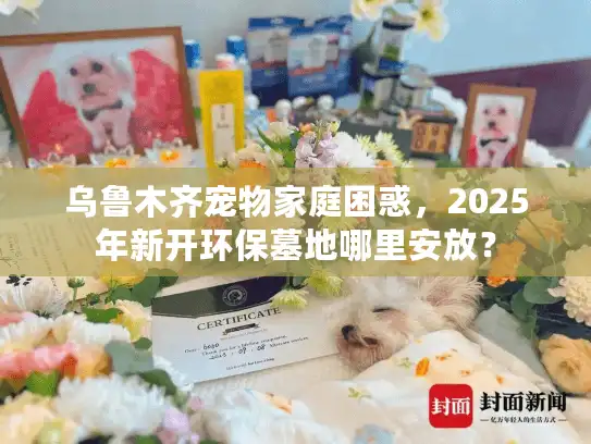乌鲁木齐宠物家庭困惑，2025年新开环保墓地哪里安放？