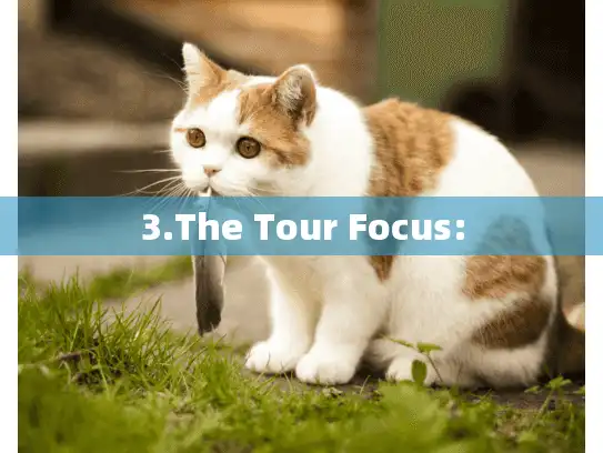 3.The Tour Focus: