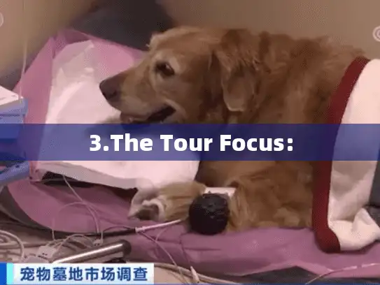 3.The Tour Focus: