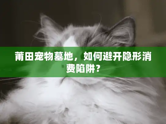 莆田宠物墓地，如何避开隐形消费陷阱？