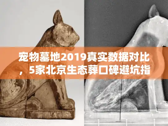 宠物墓地2019真实数据对比，5家北京生态葬口碑避坑指南