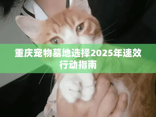 重庆宠物墓地选择2025年速效行动指南