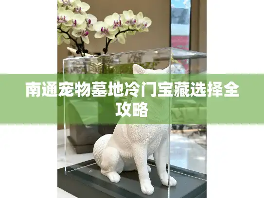 南通宠物墓地冷门宝藏选择全攻略