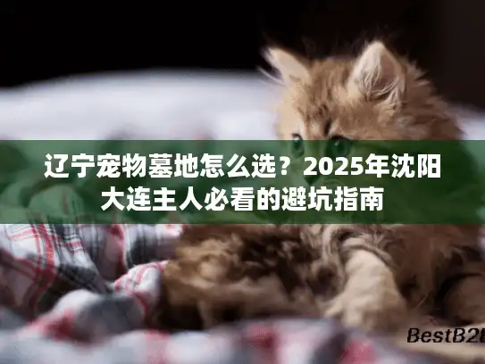 辽宁宠物墓地怎么选？2025年沈阳大连主人必看的避坑指南