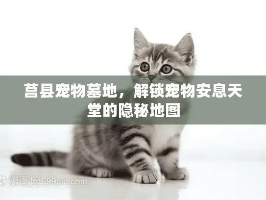 莒县宠物墓地，解锁宠物安息天堂的隐秘地图