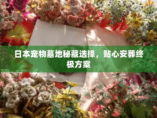 日本宠物墓地秘藏选择，贴心安葬终极方案