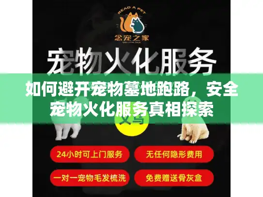 如何避开宠物墓地跑路，安全宠物火化服务真相探索