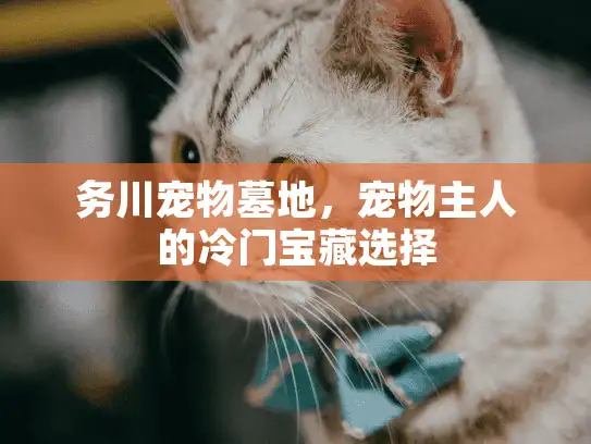 务川宠物墓地，宠物主人的冷门宝藏选择