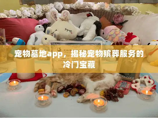 宠物墓地app，揭秘宠物殡葬服务的冷门宝藏