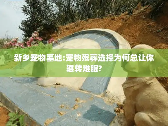 新乡宠物墓地:宠物殡葬选择为何总让你辗转难眠?
