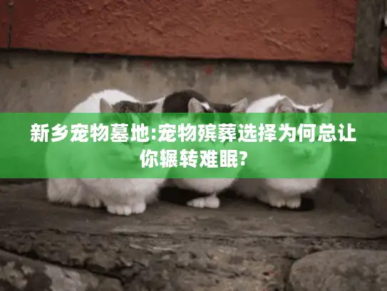 新乡宠物墓地:宠物殡葬选择为何总让你辗转难眠?