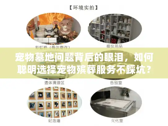 宠物墓地问题背后的眼泪，如何聪明选择宠物殡葬服务不踩坑？