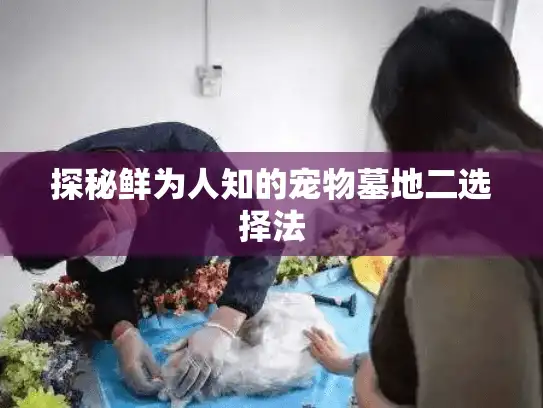 探秘鲜为人知的宠物墓地二选择法