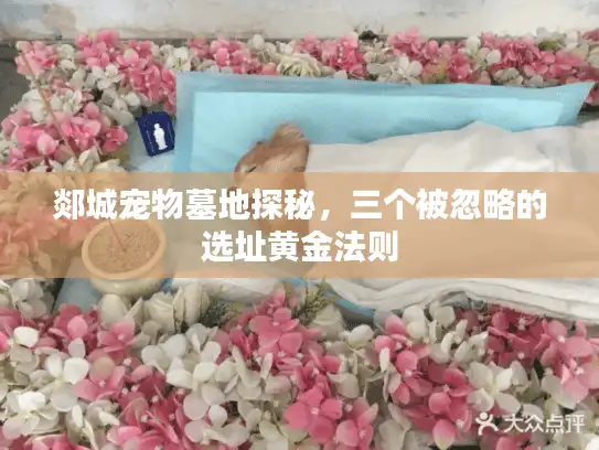 郯城宠物墓地探秘，三个被忽略的选址黄金法则