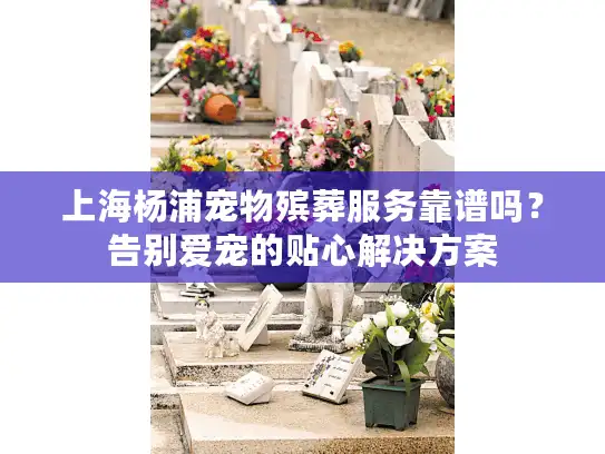 上海杨浦宠物殡葬服务靠谱吗？告别爱宠的贴心解决方案