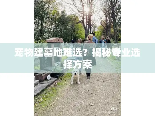 宠物建墓地难选？揭秘专业选择方案