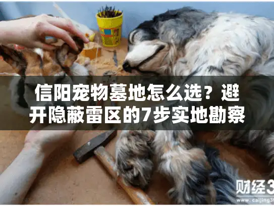 信阳宠物墓地怎么选？避开隐蔽雷区的7步实地勘察法