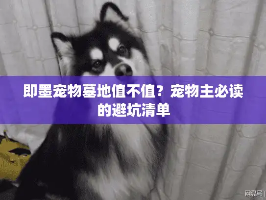 即墨宠物墓地值不值？宠物主必读的避坑清单