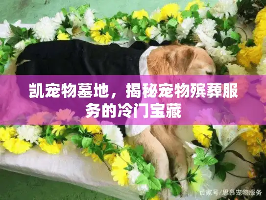 凯宠物墓地，揭秘宠物殡葬服务的冷门宝藏