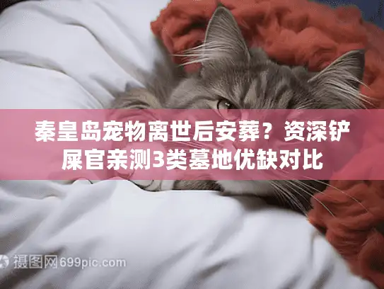 秦皇岛宠物离世后安葬？资深铲屎官亲测3类墓地优缺对比