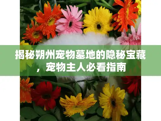 揭秘朔州宠物墓地的隐秘宝藏，宠物主人必看指南
