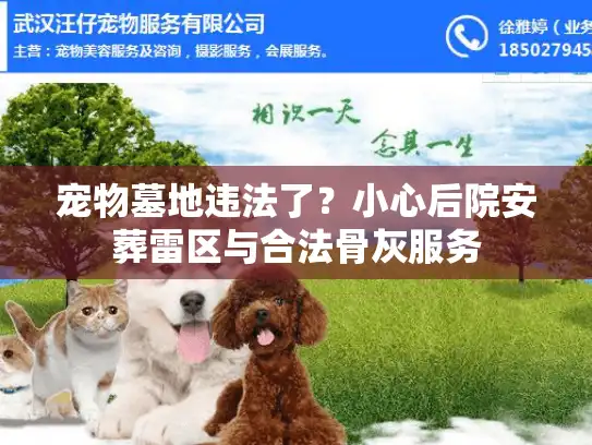 宠物墓地违法了？小心后院安葬雷区与合法骨灰服务