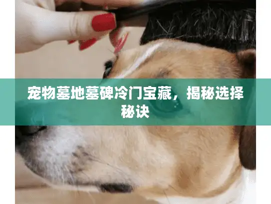 宠物墓地墓碑冷门宝藏，揭秘选择秘诀
