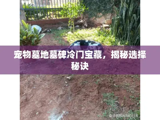 宠物墓地墓碑冷门宝藏，揭秘选择秘诀