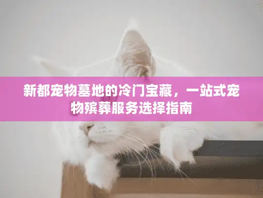 新都宠物墓地的冷门宝藏，一站式宠物殡葬服务选择指南