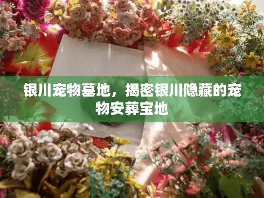 银川宠物墓地，揭密银川隐藏的宠物安葬宝地