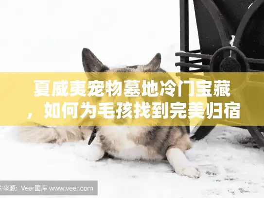 夏威夷宠物墓地冷门宝藏，如何为毛孩找到完美归宿