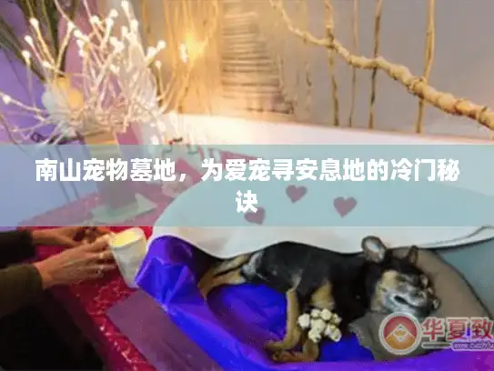 南山宠物墓地，为爱宠寻安息地的冷门秘诀