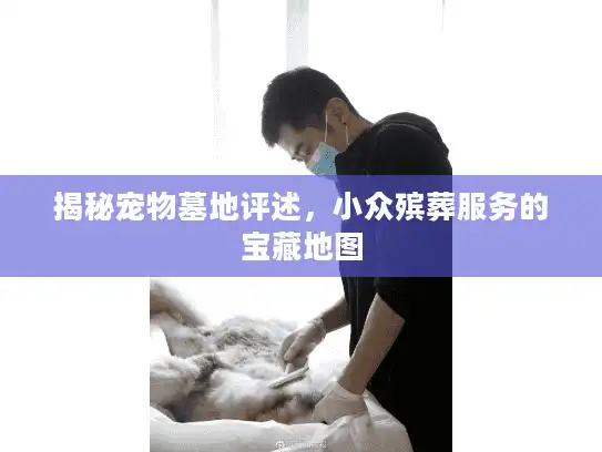 揭秘宠物墓地评述，小众殡葬服务的宝藏地图
