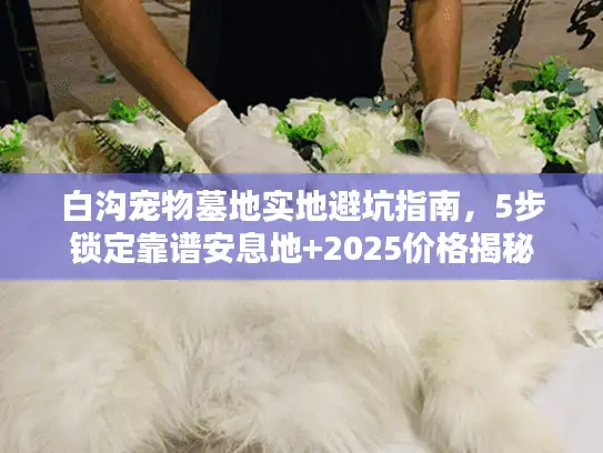 白沟宠物墓地实地避坑指南，5步锁定靠谱安息地+2025价格揭秘