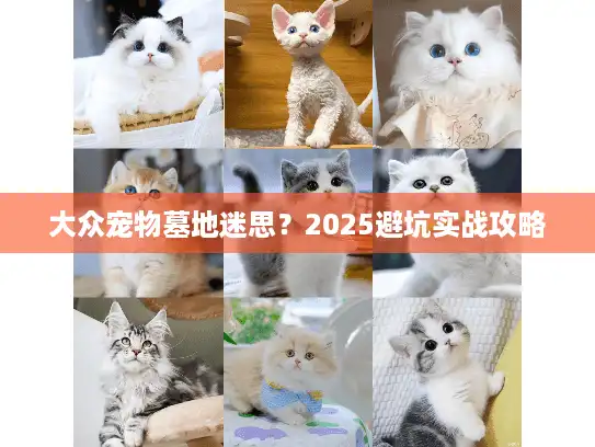 大众宠物墓地迷思？2025避坑实战攻略