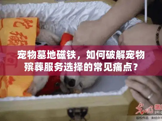 宠物墓地磁铁，如何破解宠物殡葬服务选择的常见痛点？