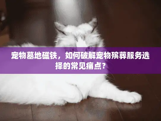 宠物墓地磁铁，如何破解宠物殡葬服务选择的常见痛点？