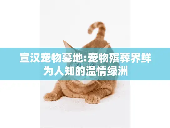 宣汉宠物墓地:宠物殡葬界鲜为人知的温情绿洲