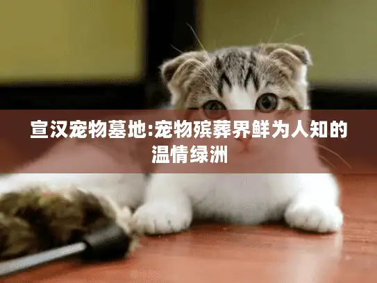 宣汉宠物墓地:宠物殡葬界鲜为人知的温情绿洲