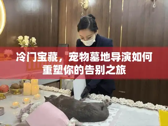 冷门宝藏，宠物墓地导演如何重塑你的告别之旅