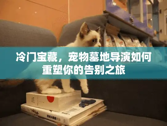 冷门宝藏，宠物墓地导演如何重塑你的告别之旅
