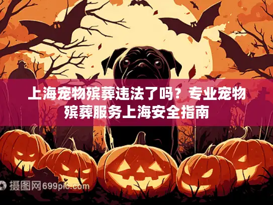 上海宠物殡葬违法了吗？专业宠物殡葬服务上海安全指南