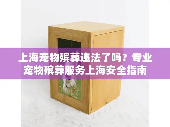 上海宠物殡葬违法了吗？专业宠物殡葬服务上海安全指南