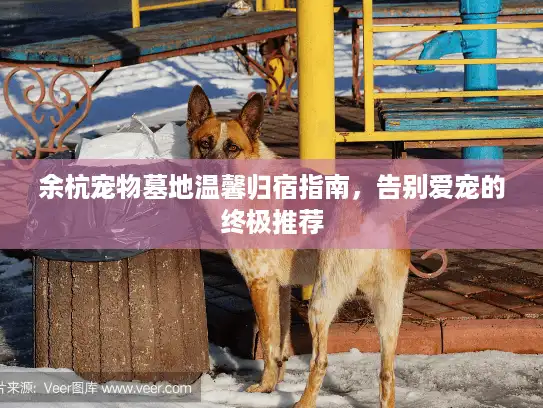 余杭宠物墓地温馨归宿指南，告别爱宠的终极推荐