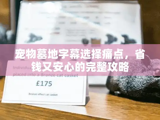 宠物墓地字幕选择痛点，省钱又安心的完整攻略