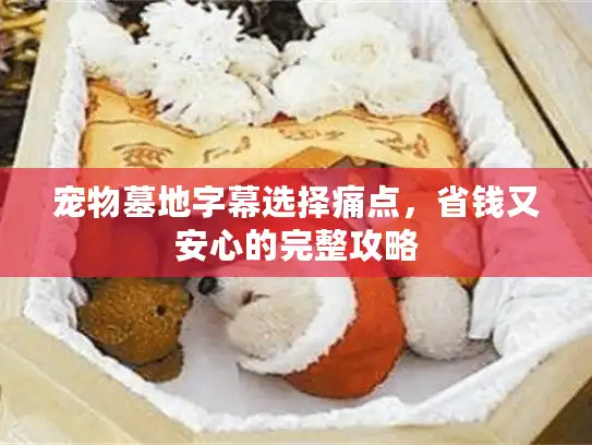宠物墓地字幕选择痛点，省钱又安心的完整攻略