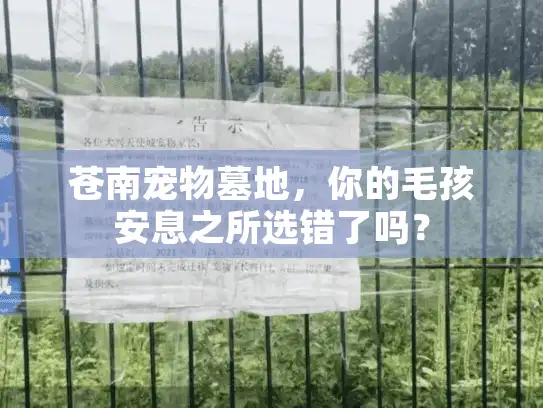 苍南宠物墓地，你的毛孩安息之所选错了吗？