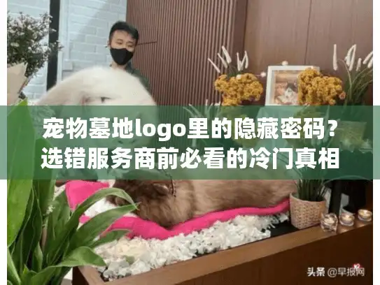 宠物墓地logo里的隐藏密码？选错服务商前必看的冷门真相