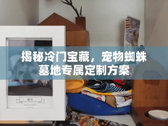 揭秘冷门宝藏，宠物蜘蛛墓地专属定制方案